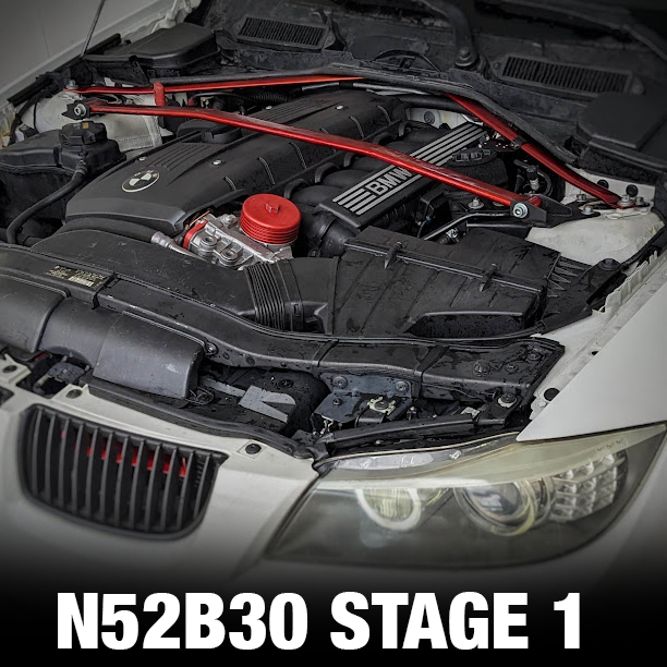 22RPD N52B30 - Stage 1 Tune